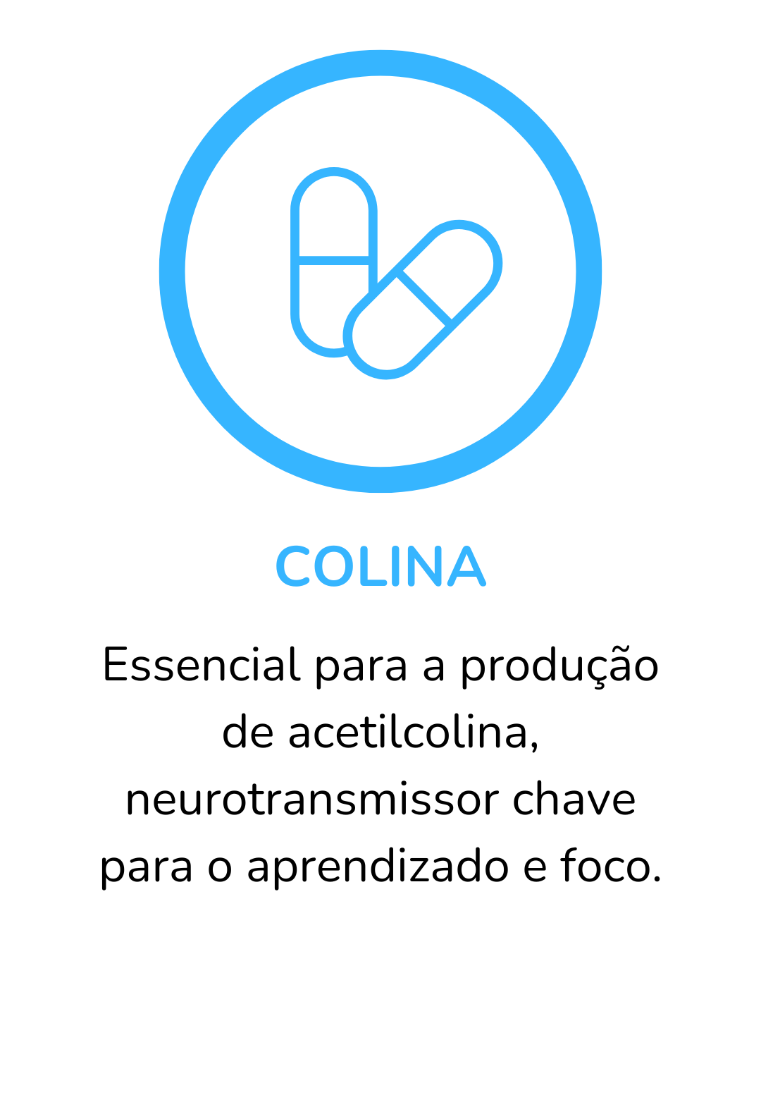 COLINA-1.png