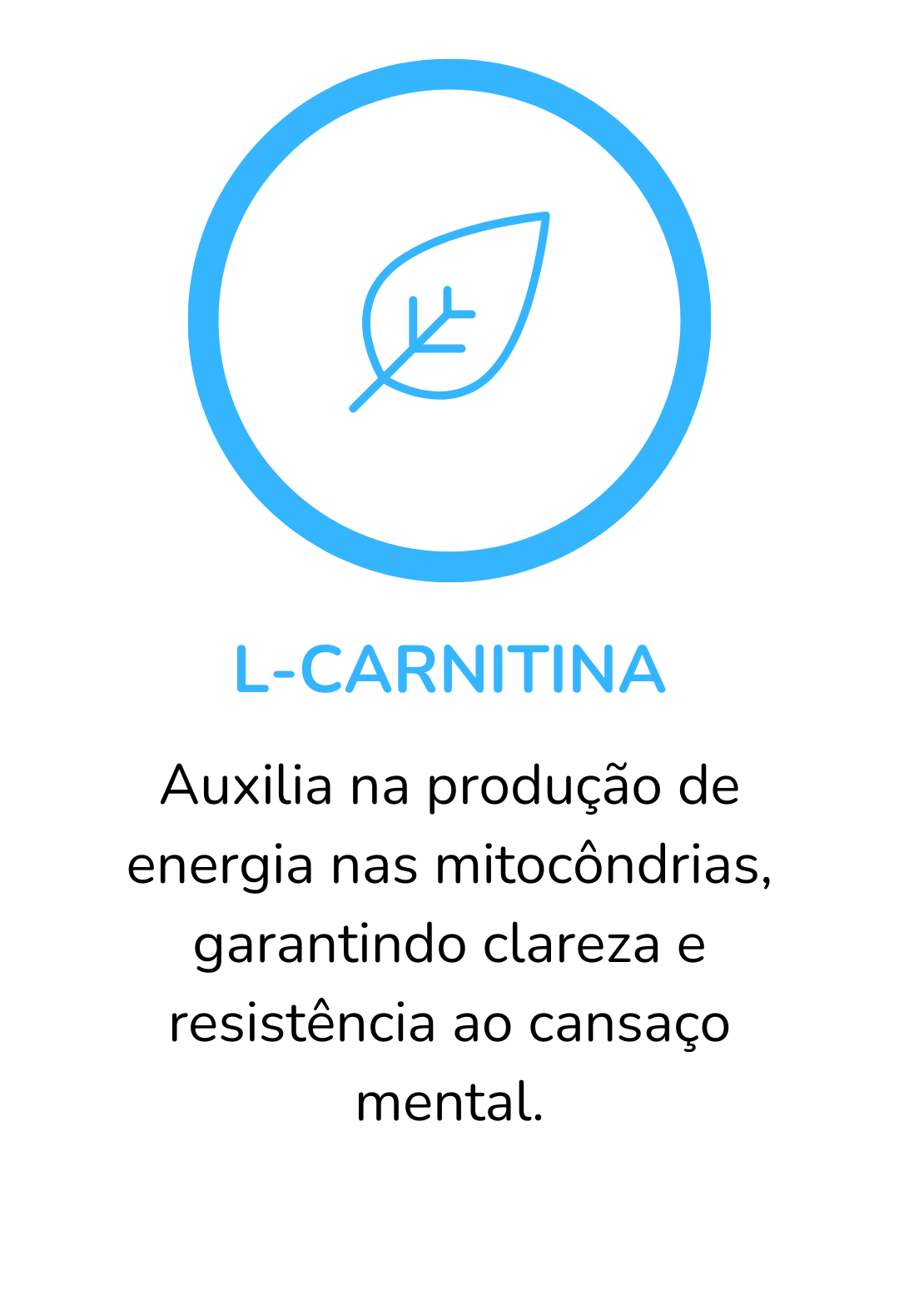L-CARNITINA-1.png